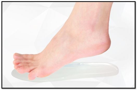 palmilha com arco lisa